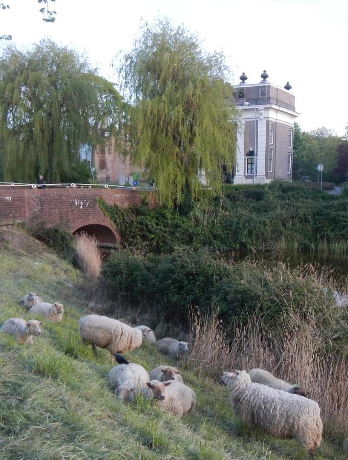 Logies De Zeeuwse Klei, Een Gezellig Jaren 30 Huis Middelburg Zewnętrze zdjęcie
